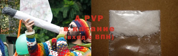 прущие крисы Магадан