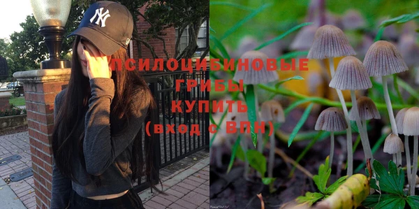 прущие крисы Магадан