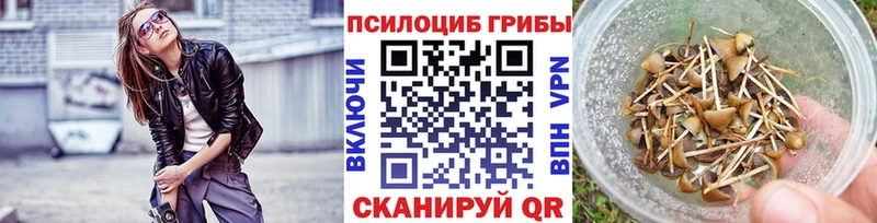 Псилоцибиновые грибы GOLDEN TEACHER  Купить  Семилуки 